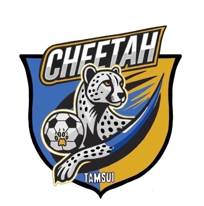淡水獵豹足球俱樂部