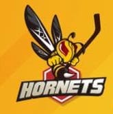 黃蜂體育教學城